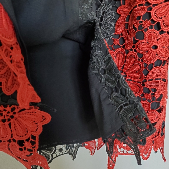 NWOT Alice + Olivia Farrel Guipure Lace Skirt - Picture 12 of 13